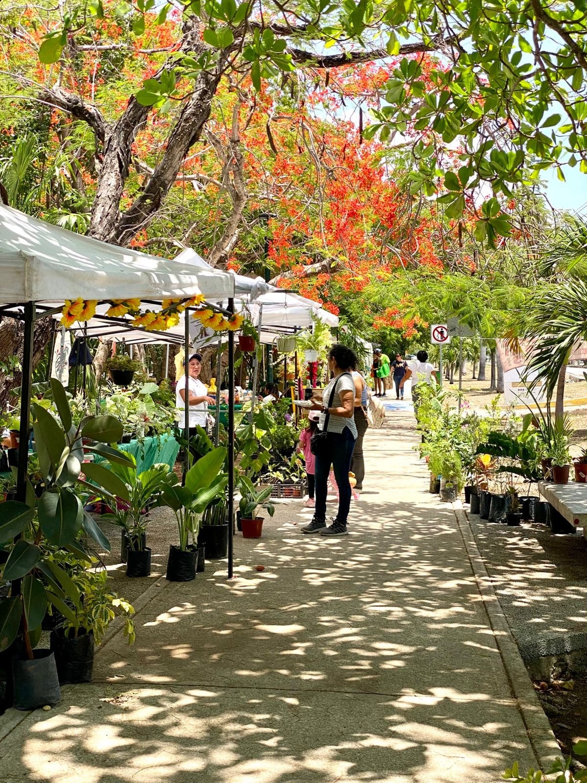 Impulsa ‘Mercadito’ a productores y artesanos locales