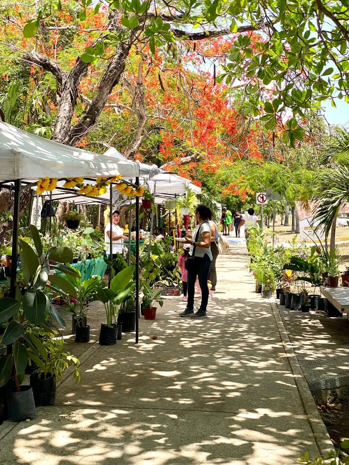 Impulsa ‘Mercadito’ a productores y artesanos locales