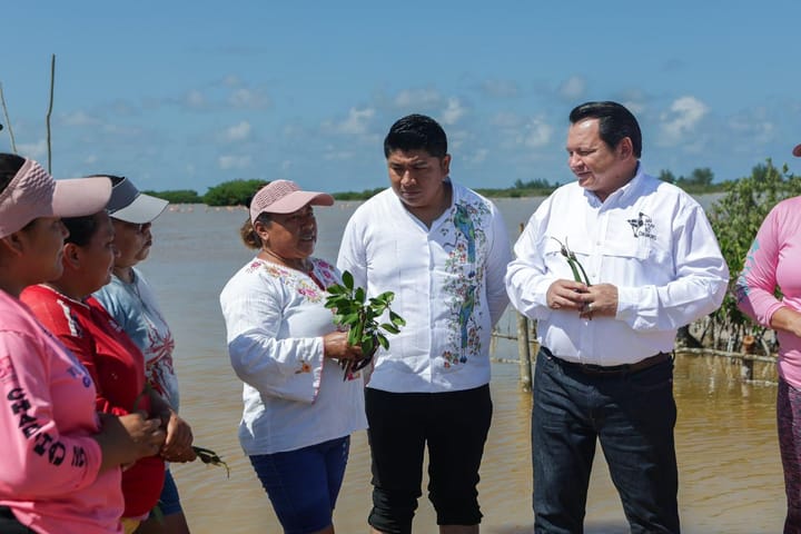 Restauran humedales costeros de Yucatán; trabajan con la comunidad